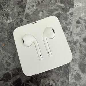 Apple earphones